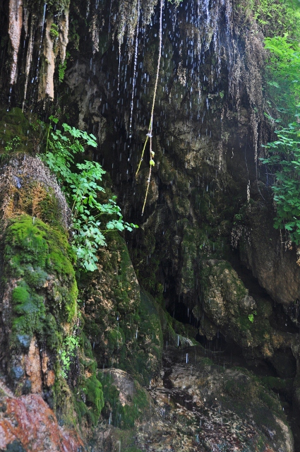 Waterfall Trail